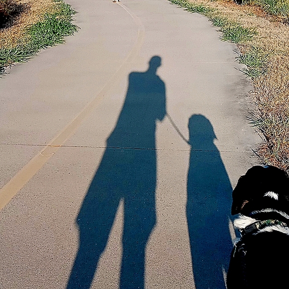 Meet your Posher, Craig - Picture 1 of 12